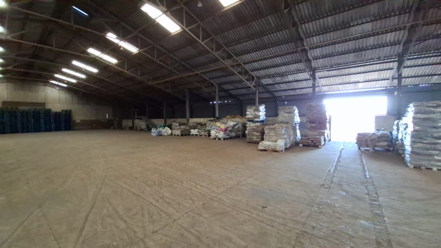 To Let commercial Property for Rent in Joostenbergvlakte Western Cape